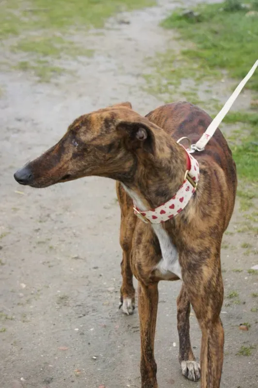 DSC03403 e1456439803275