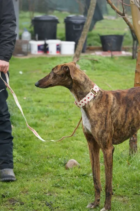 DSC03408 e1456439837514