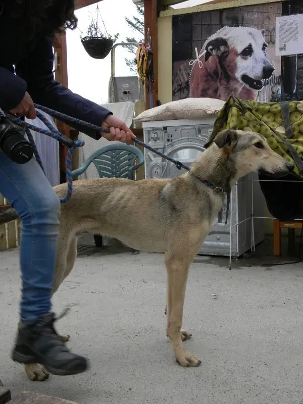 DSCN6065 e1397426024364