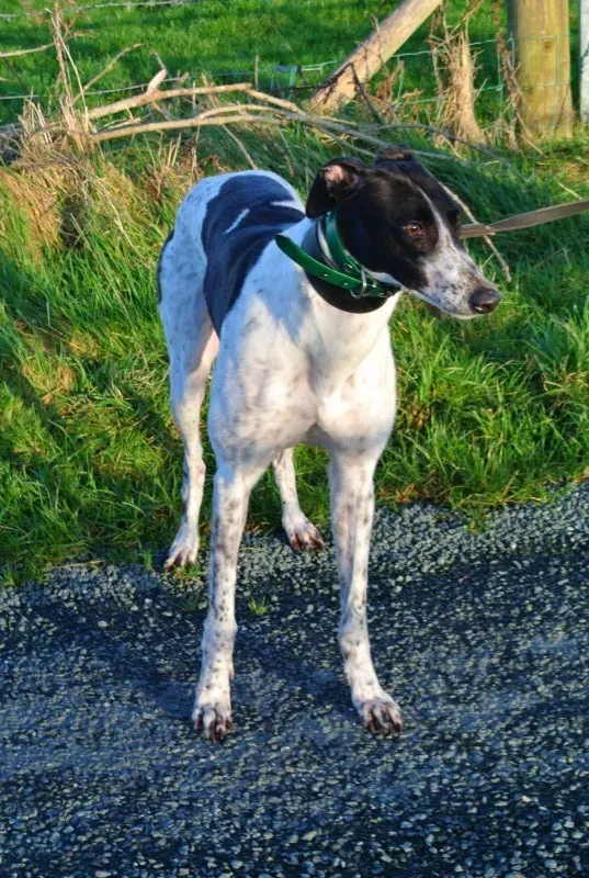 DSC 2951 e1452255377893