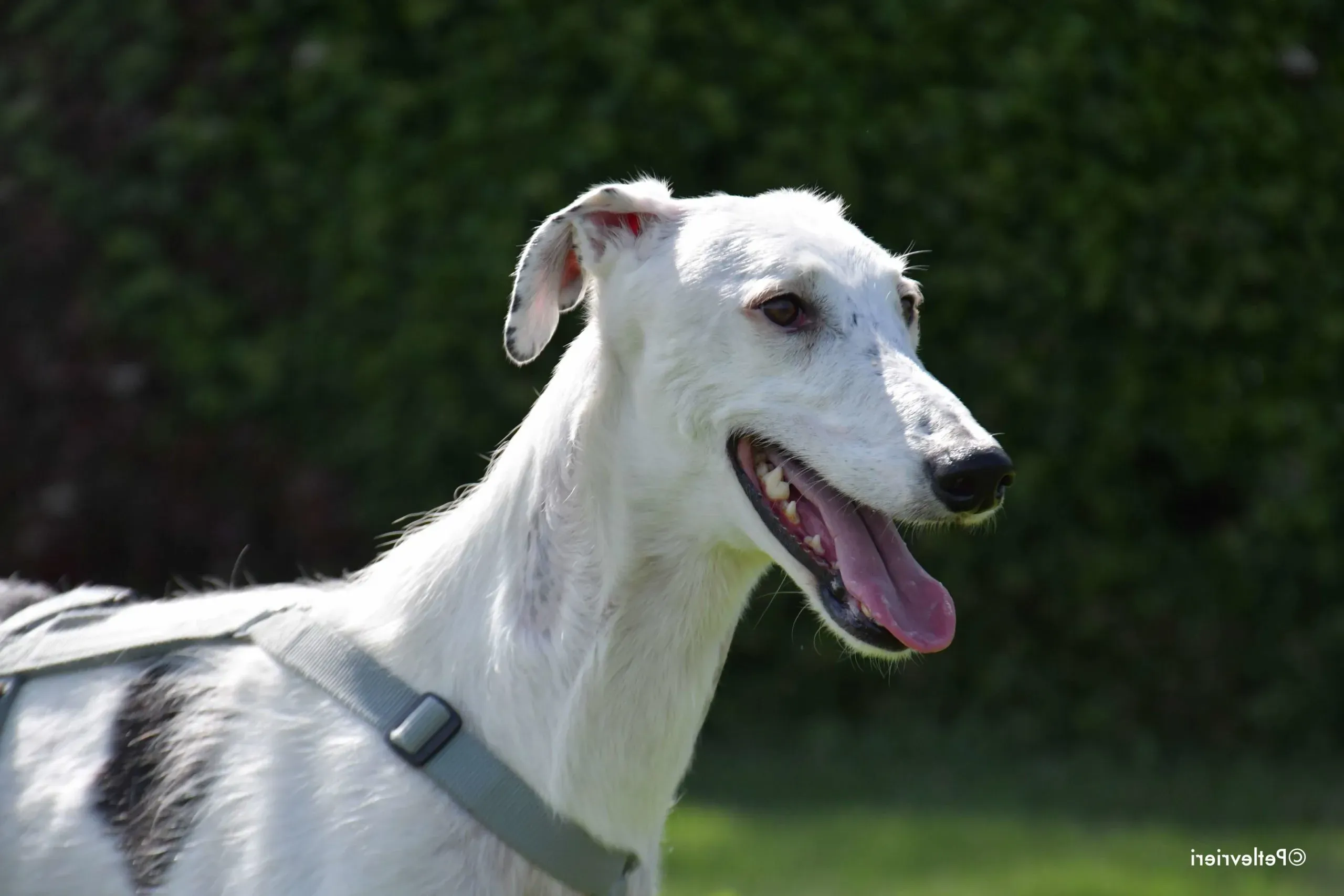 DSC 4981 scaled e1632396360817