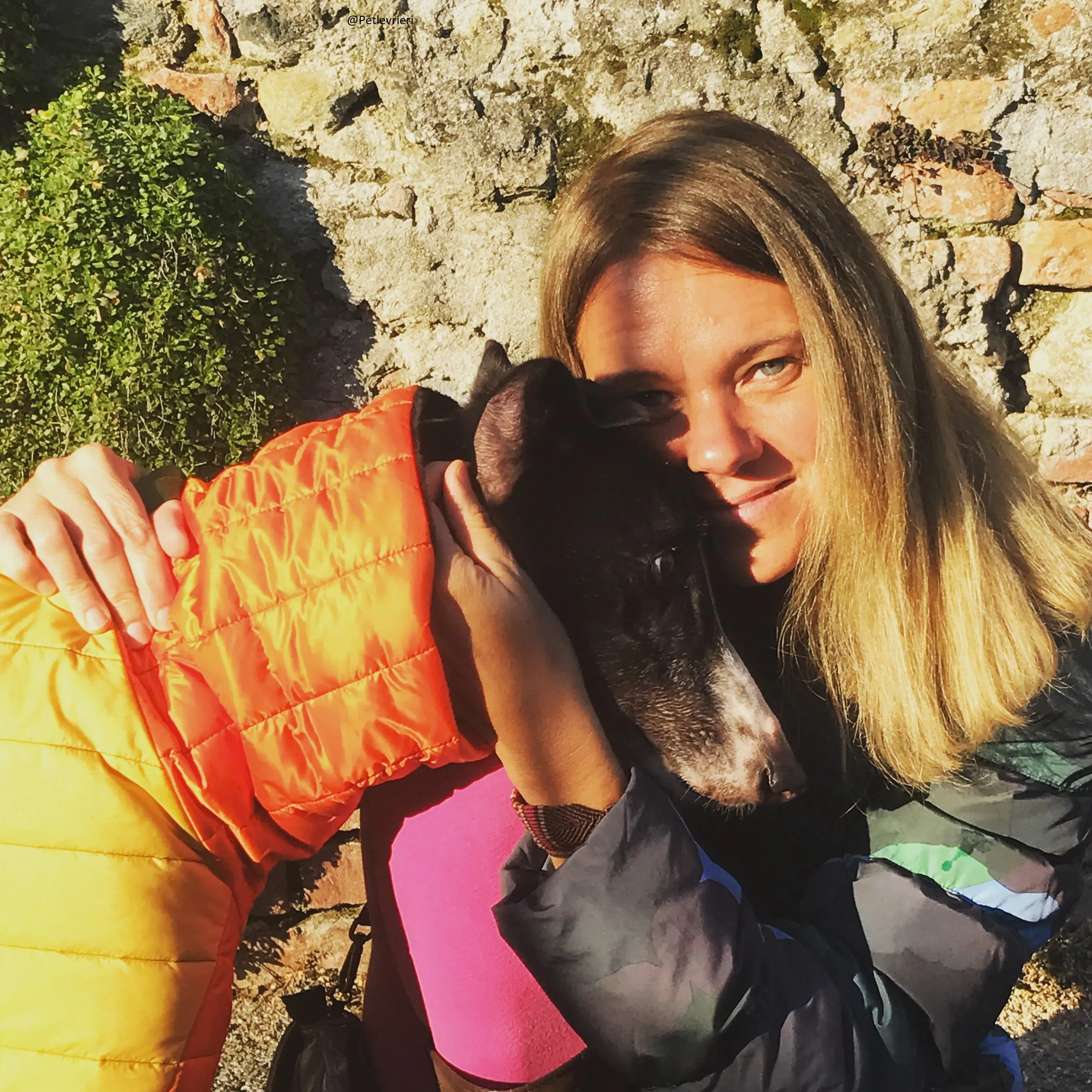 Diamond Osti Greyhound di Macau Adozione Levrieri savethemacaugreyhuonds 1