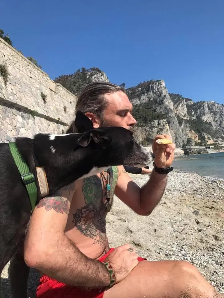 Diamond Osti Greyhound macau adozione levrieri foster il mare 1