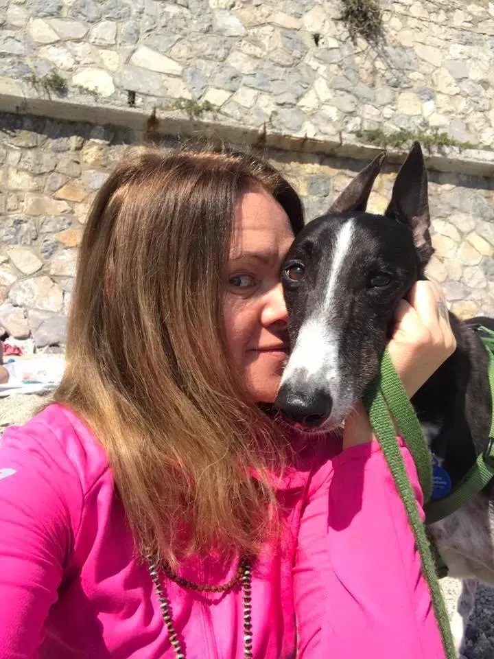 Diamond Osti Greyhound macau adozione levrieri foster il mare 3