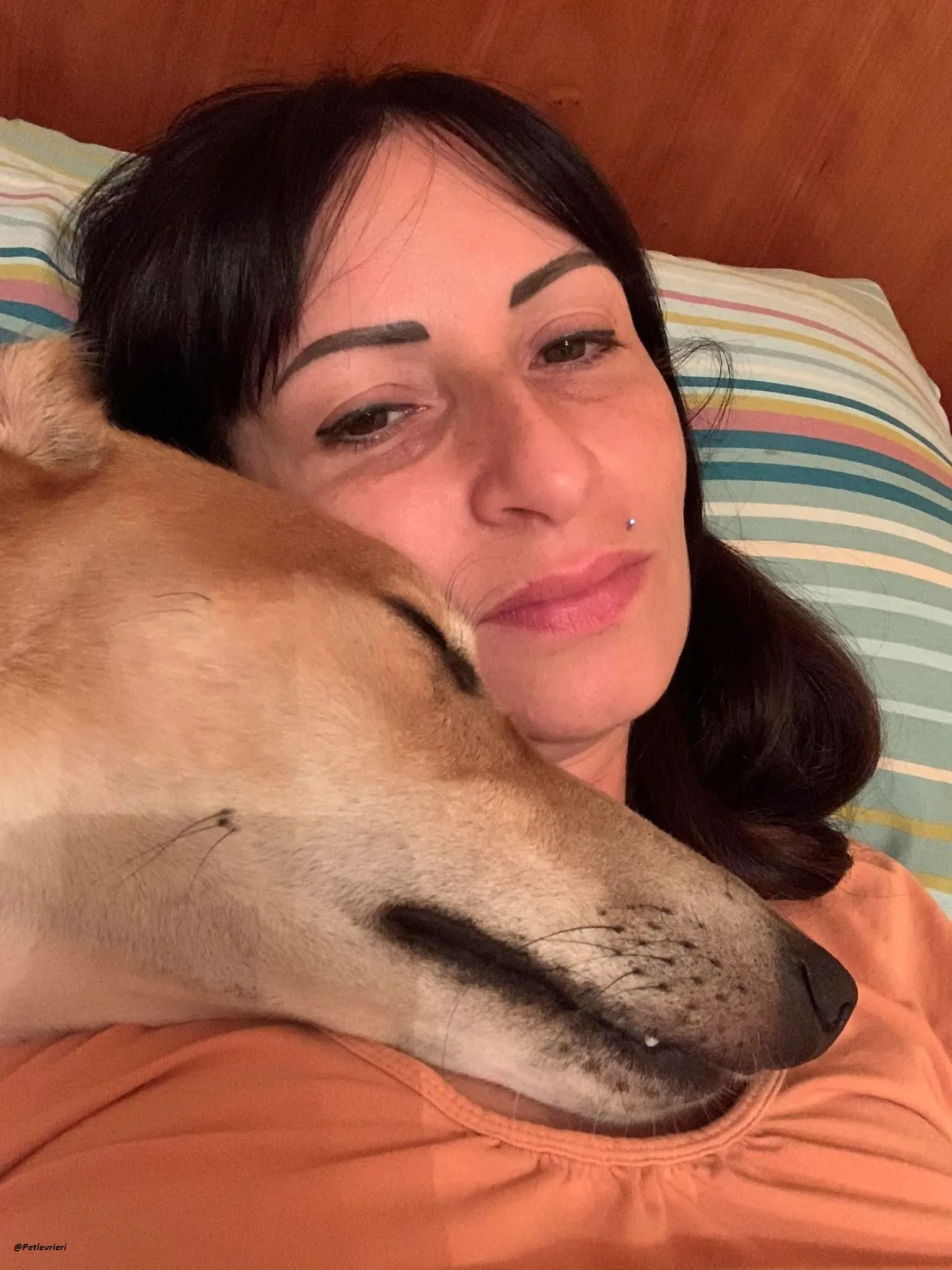 Duncan lurcher dog adozione levrieri 10