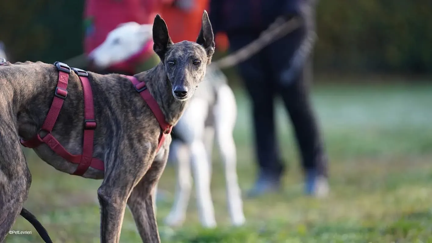 E2834ADE 9AA1 4AEA 9CCF 492E64E53089