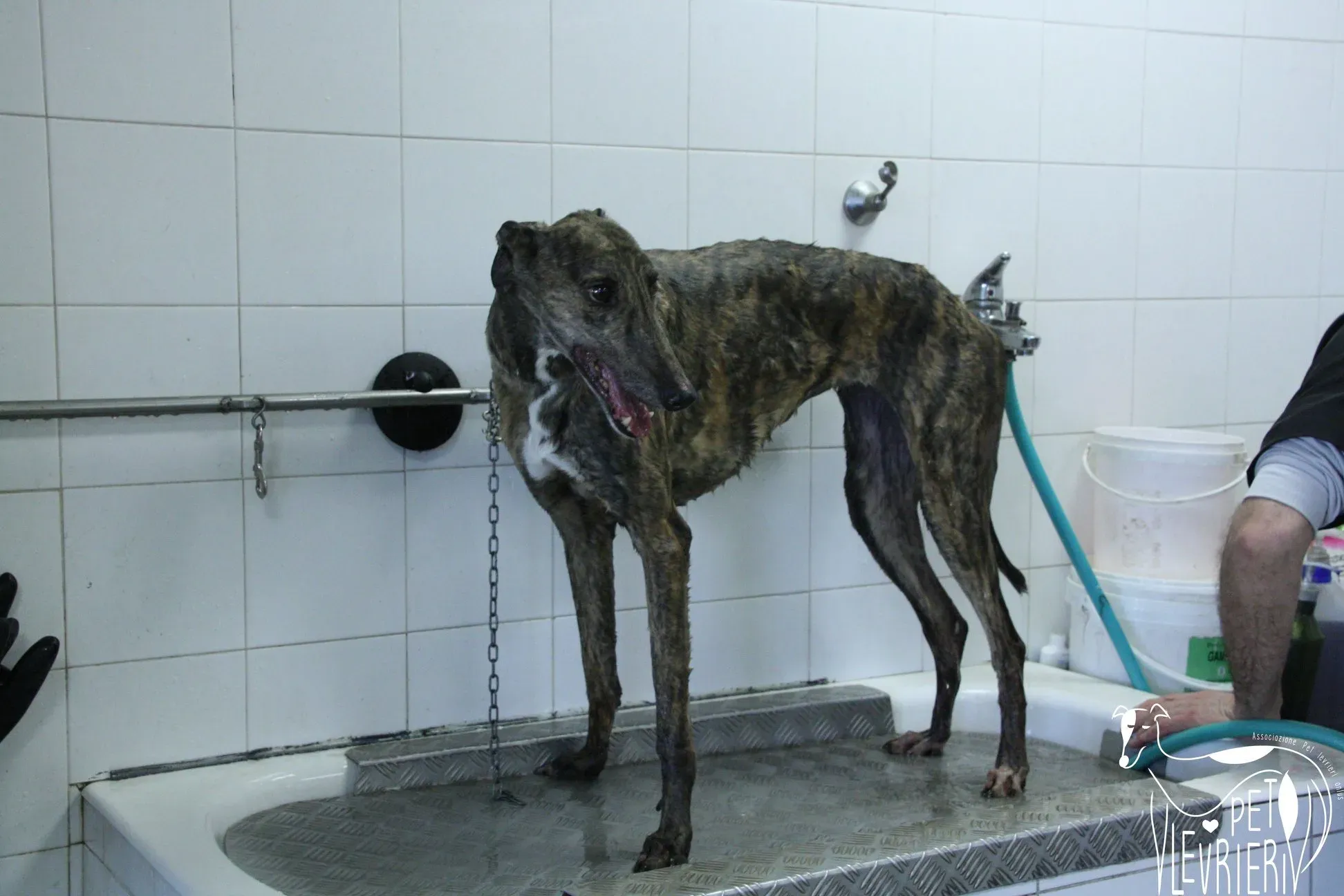 E2A75AAC 7370 4620 BA64 74275ED2B194