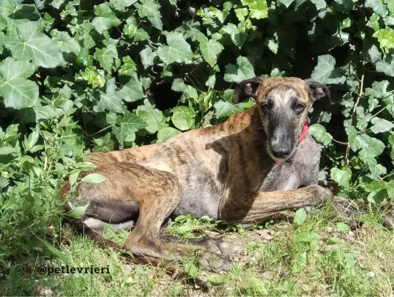 E586D240 4CC7 4958 87F0 C9877CDAFD69