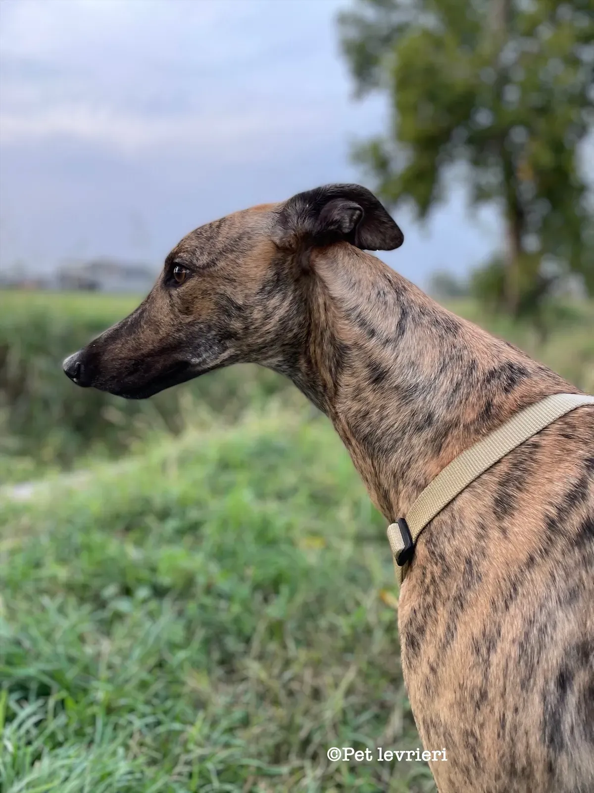 E7E38B36 C7F3 47D9 AB5B 568EC39BE9BB