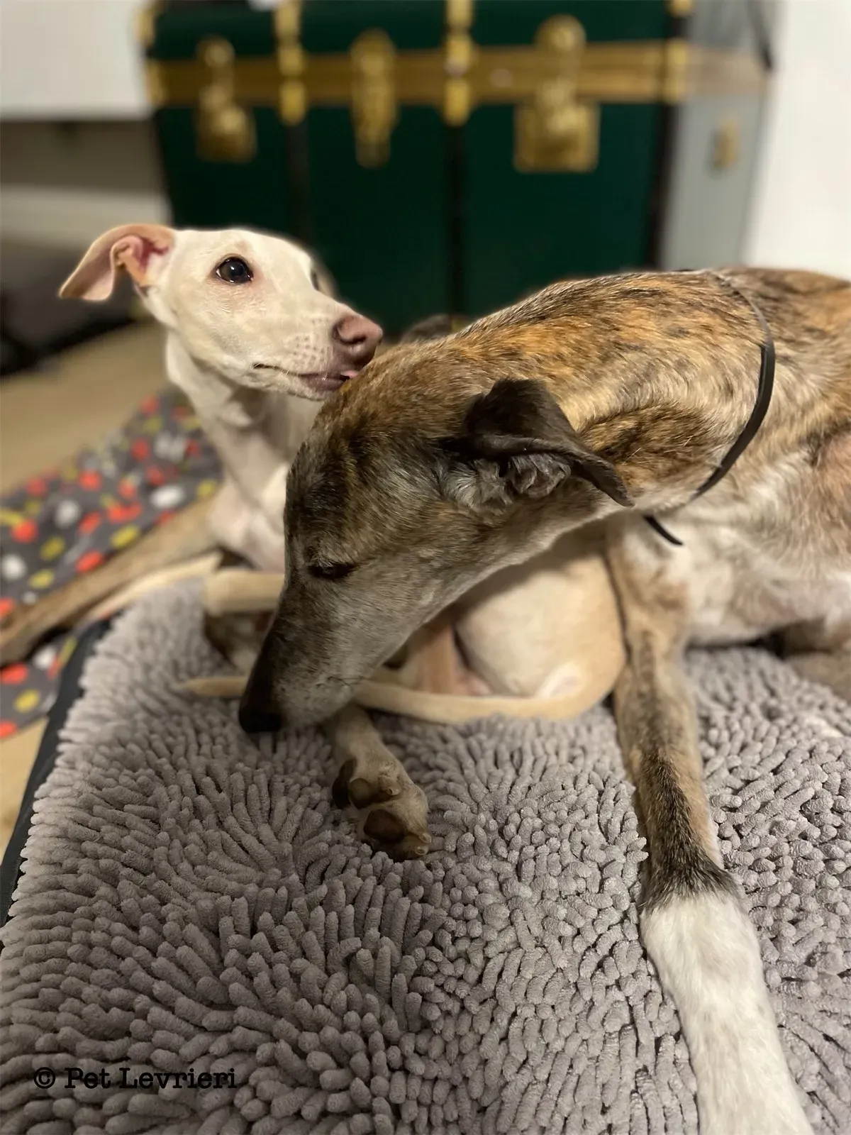 EB91AD34 4A77 4155 A0D8 00B762088710