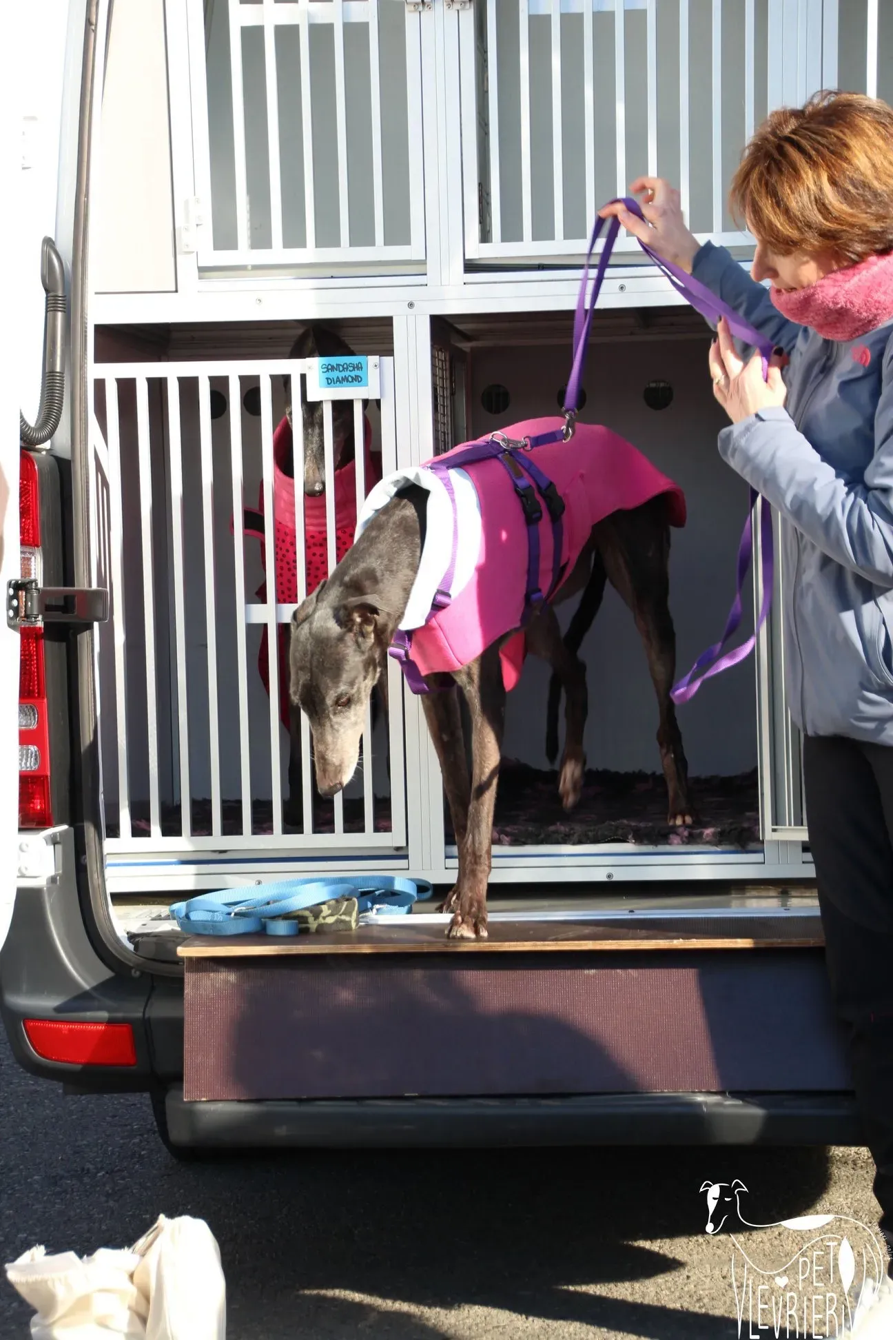 EC848F9D 8704 42A0 AB84 8C8F64F61EB2