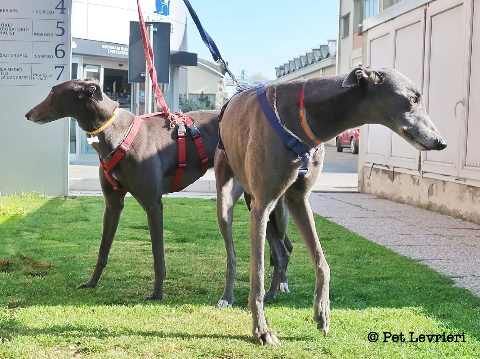 ECC4F6CC 8CA8 4900 B4BC 769B782410E5