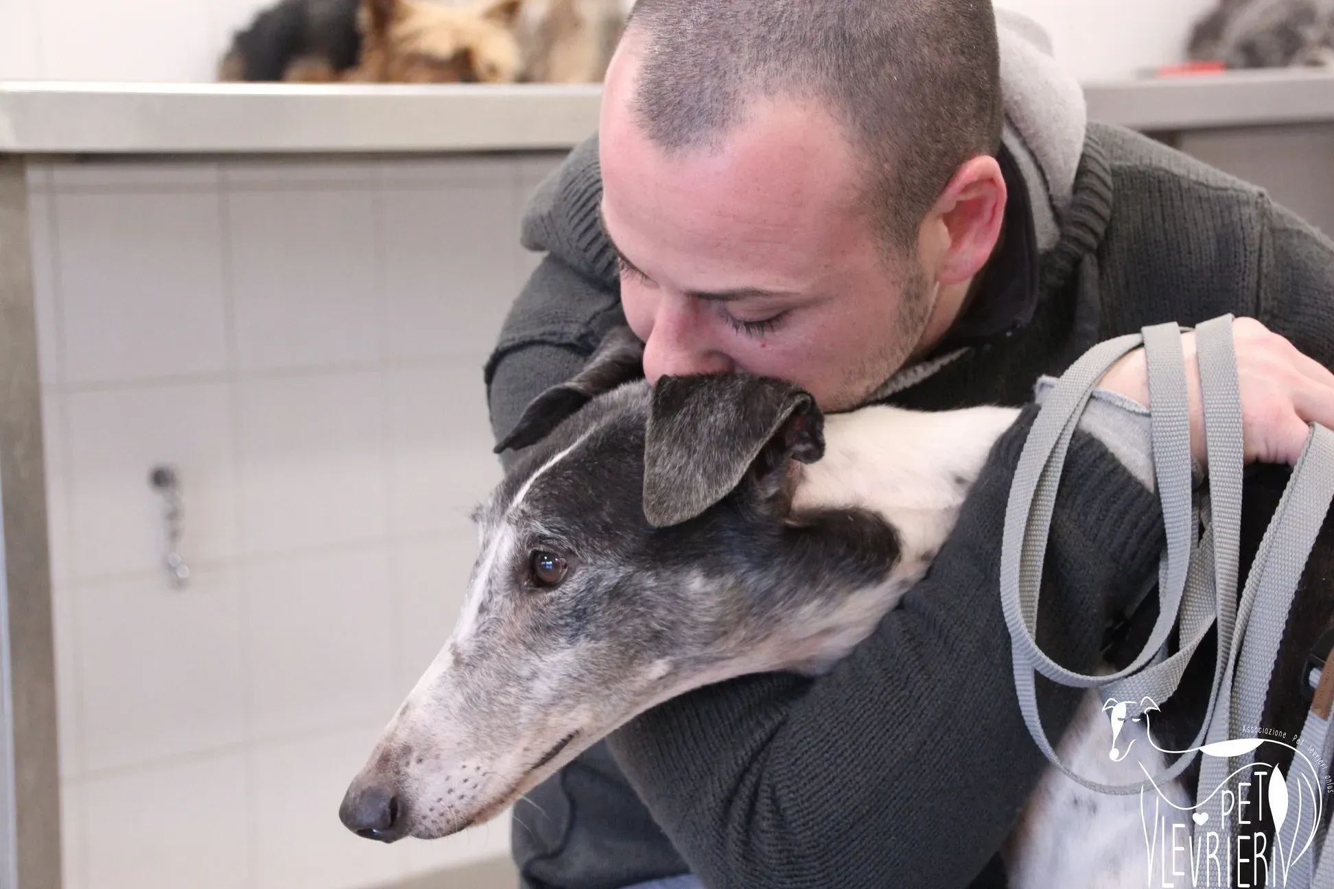 ED5BEEB3 FD49 44CD 8CC4 CCA437E9D44B