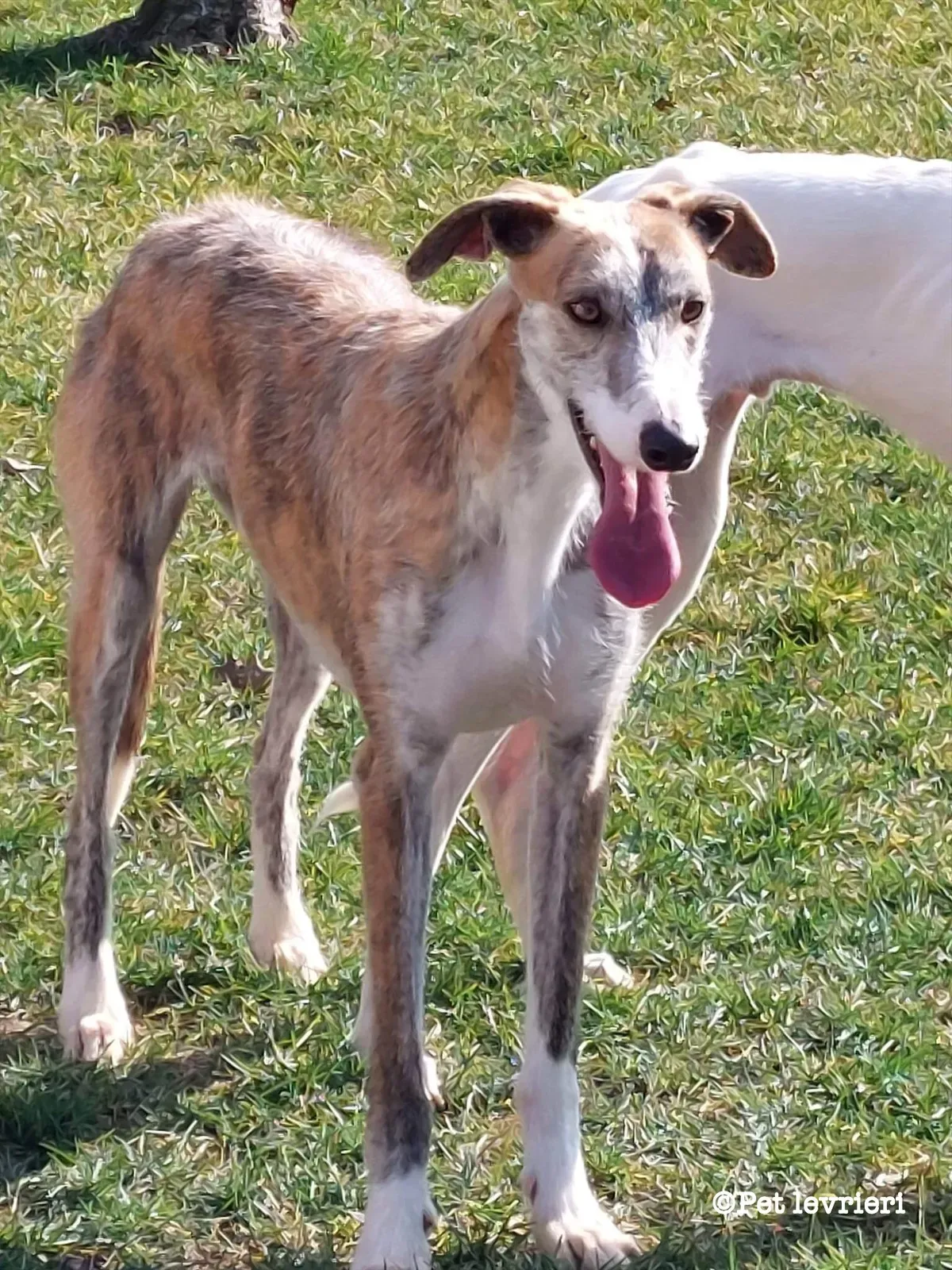 ED77BBBF 23B9 48A8 8C95 4BAC0A414846