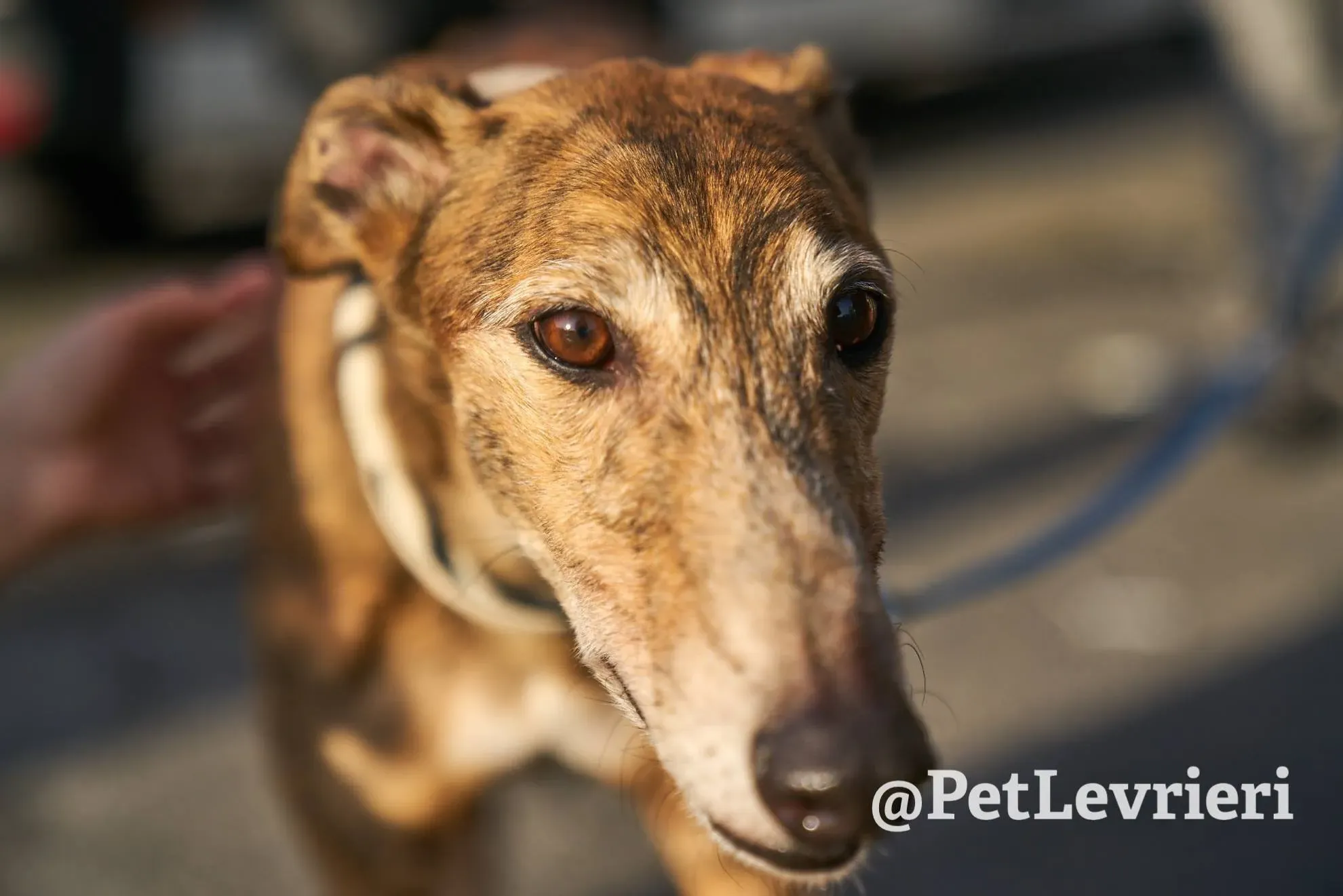 EDBF3CAF 8941 4C28 B10C AF7936279273