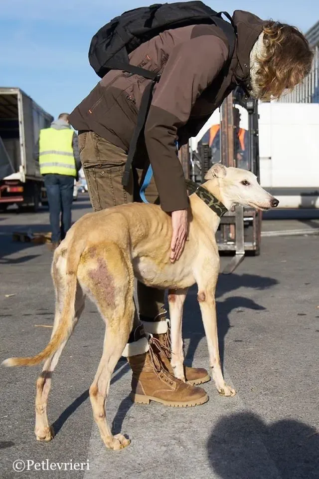 EEBBD964 0908 49F4 AD66 607D226123E7