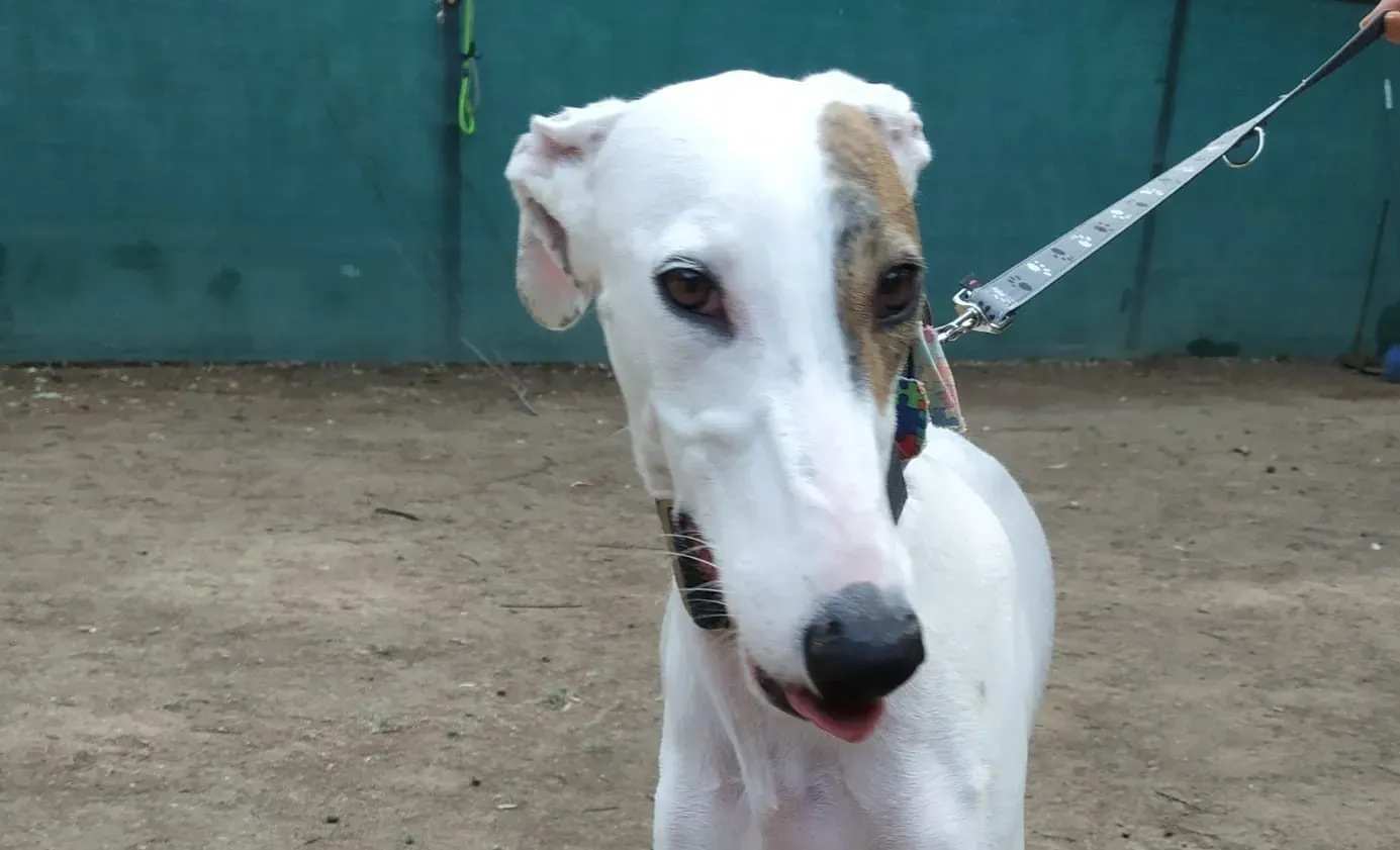 Eka1 1 e1666635969693