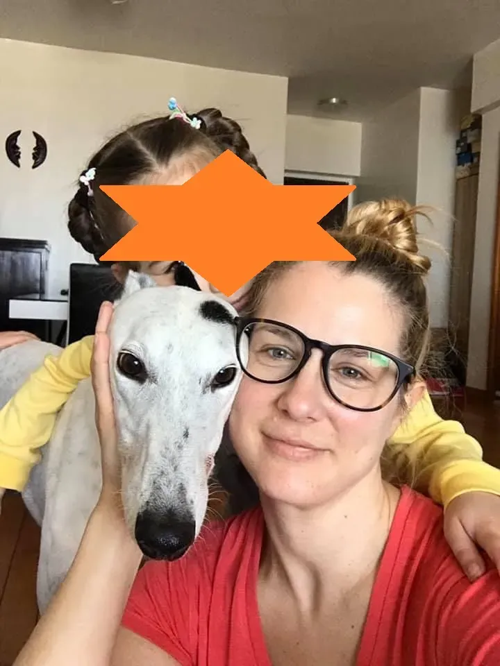 Elite choice adozione levrieri greyhound 12