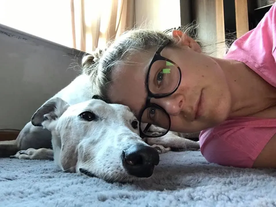 Elite choice adozione levrieri greyhound 3