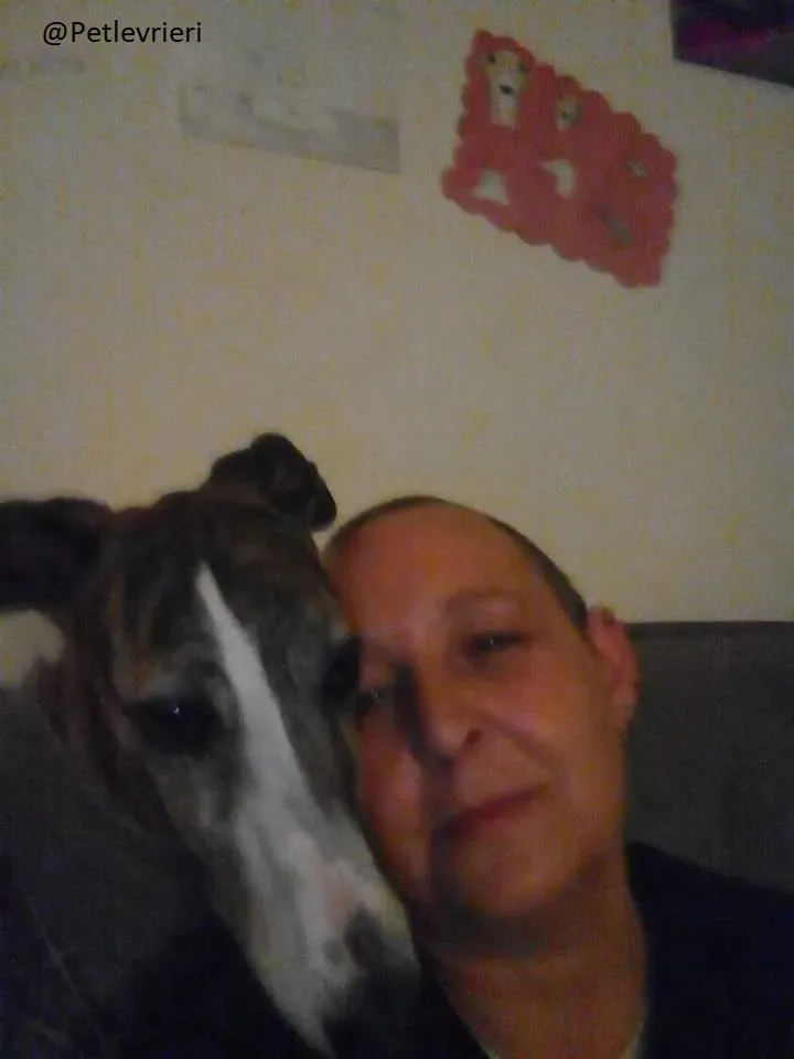 Elvira Galgo Foster Progetto Foster 2