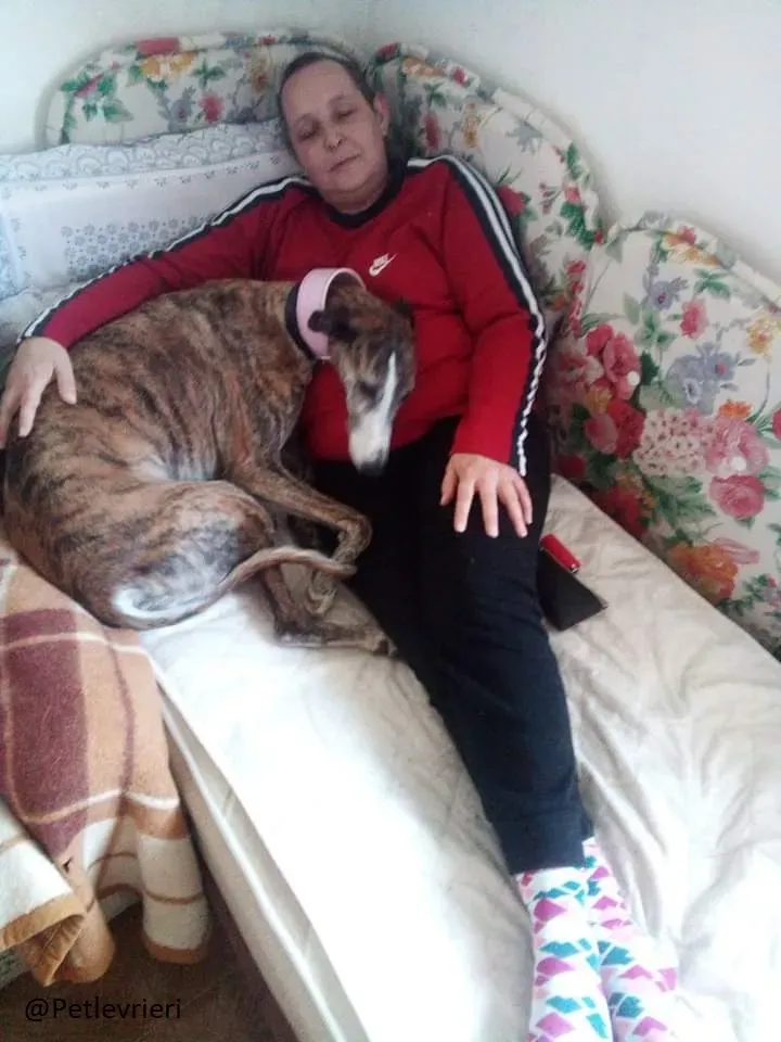 Elvira Galgo Foster Progetto Foster 3