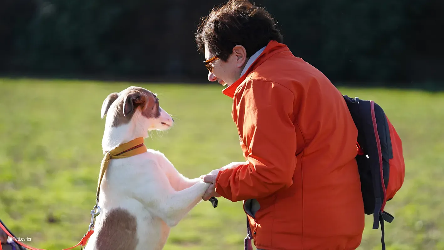 Emily lurcher petlevrieri12