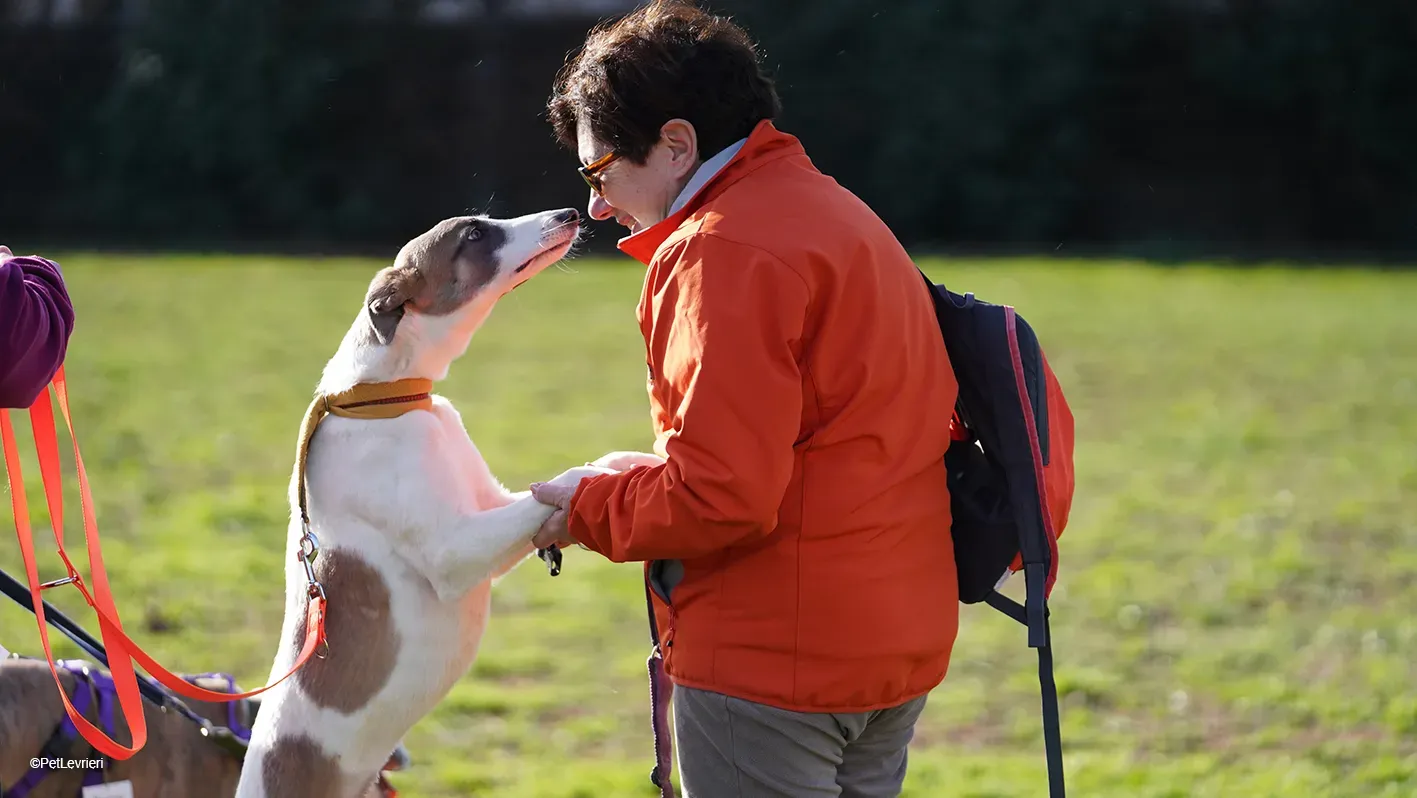 Emily lurcher petlevrieri13