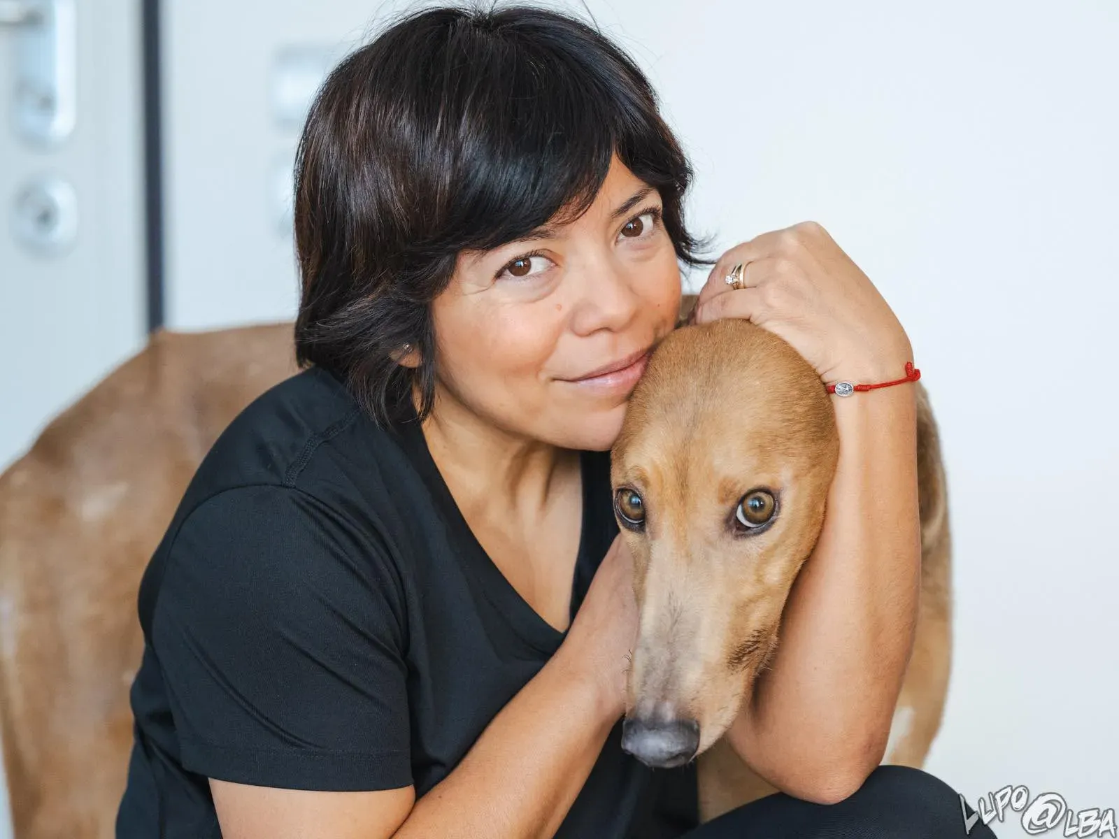 Enea adozione levrieri greyhound 27