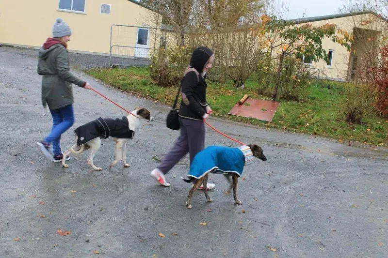 Enid e Nella in passeggiata 1