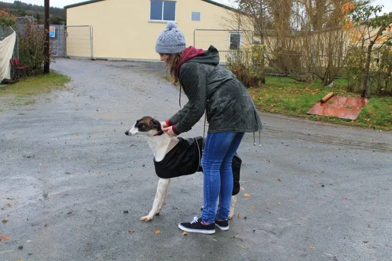 Enid in passeggiata 1