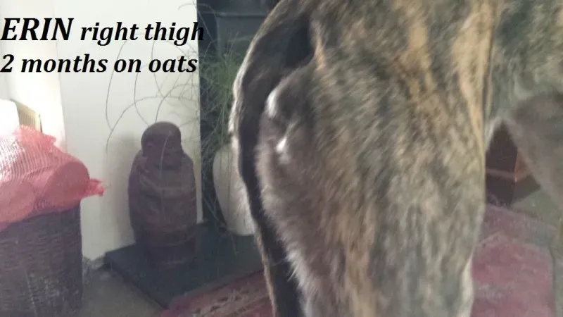 Erin right thigh Copy