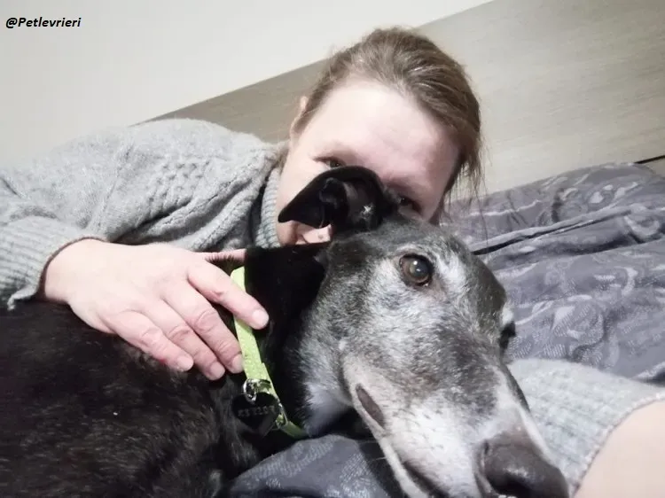 Esken greyhound progetto foster adozione levrieri blackdog 4