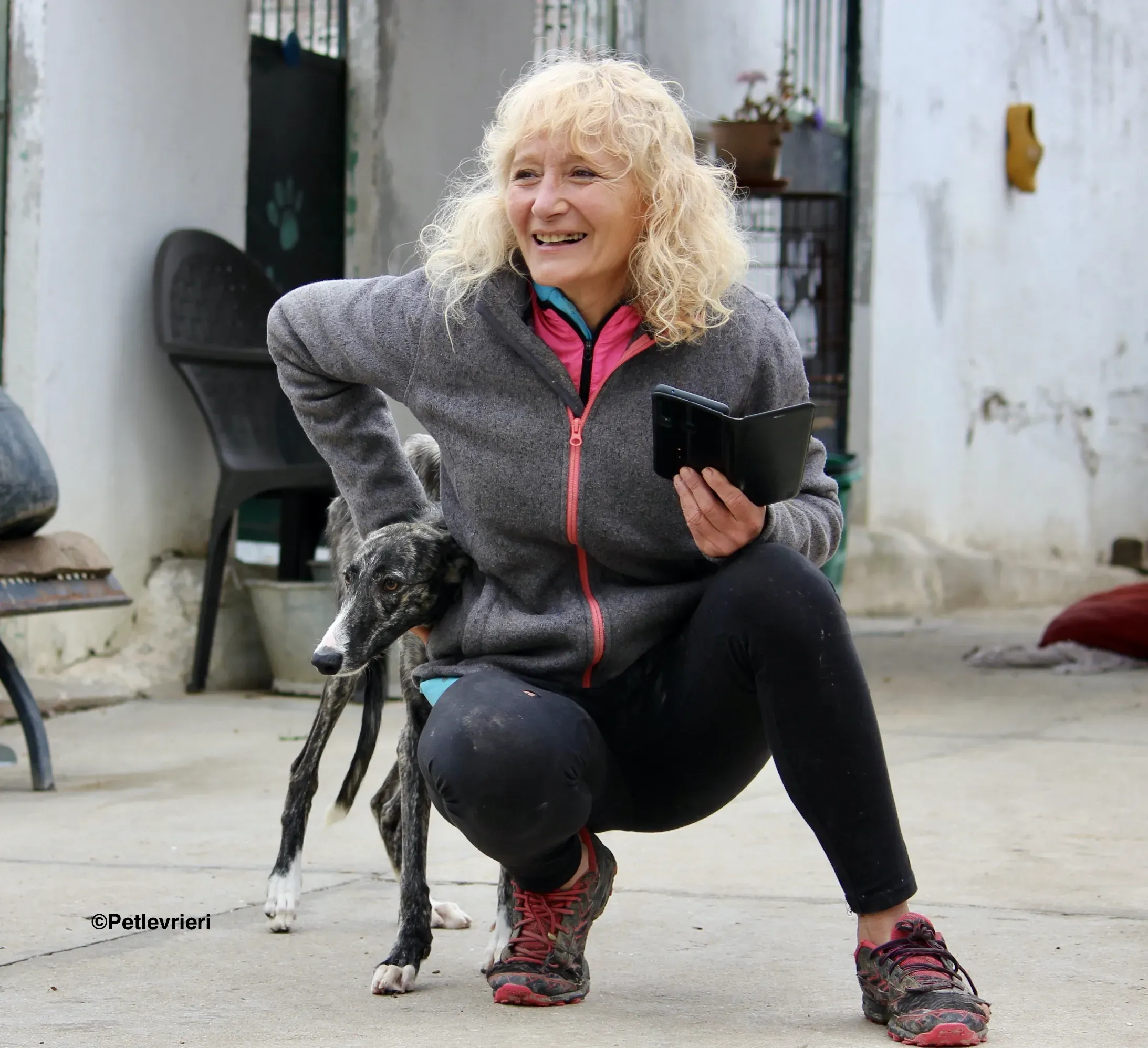 Esmeralda adozione levrieri galgo 07