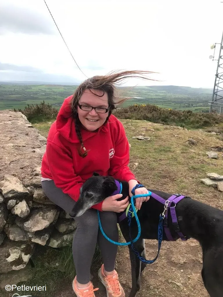 Ethel adozione levrieri greyhound 1