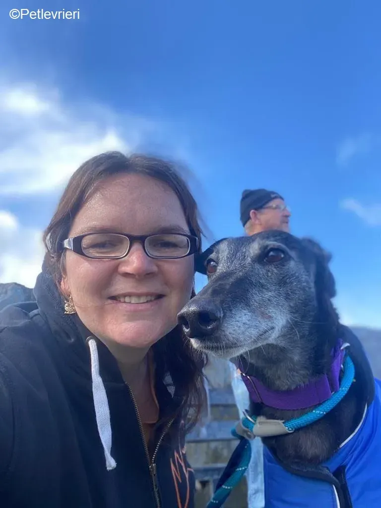 Ethel adozione levrieri greyhound 12