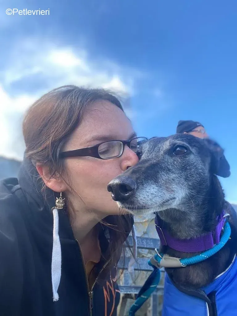 Ethel adozione levrieri greyhound 15