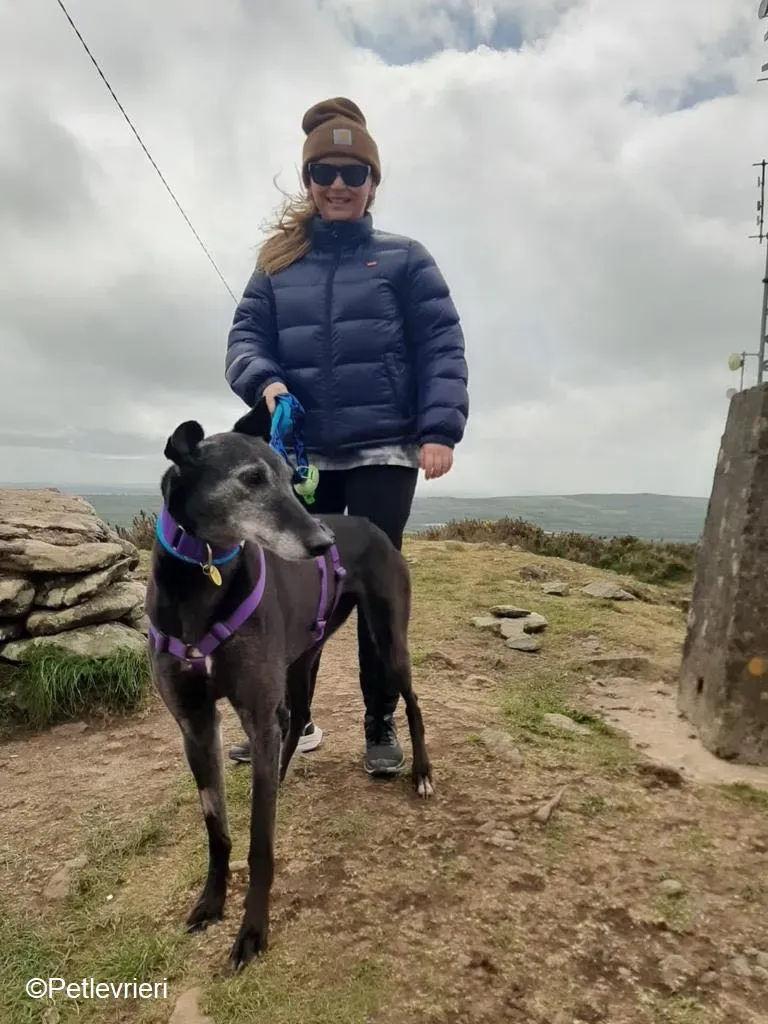 Ethel adozione levrieri greyhound 4