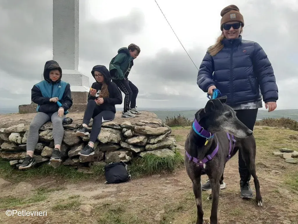 Ethel adozione levrieri greyhound 5