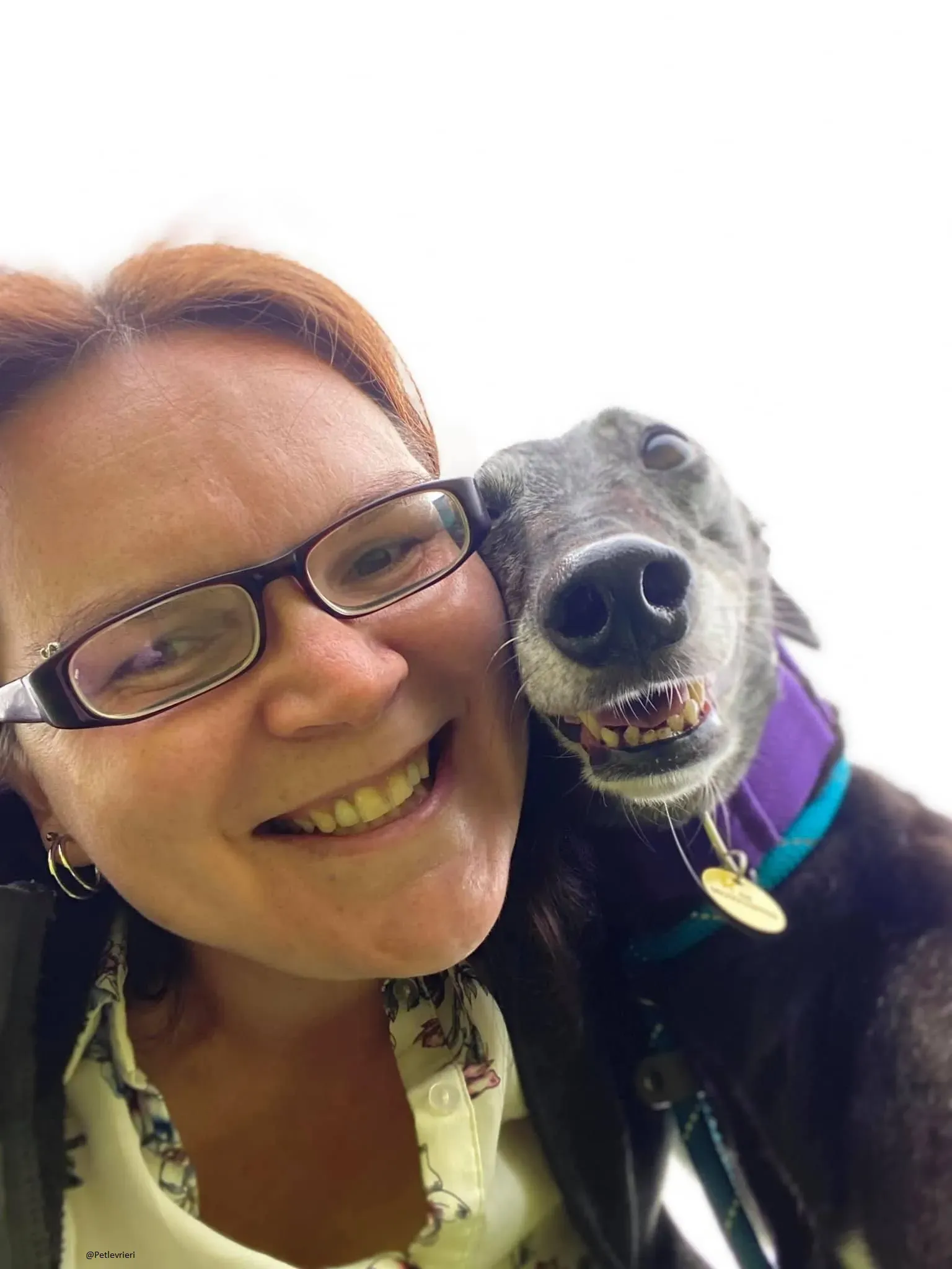 Ethel greyhound adozionelevrieri black 10