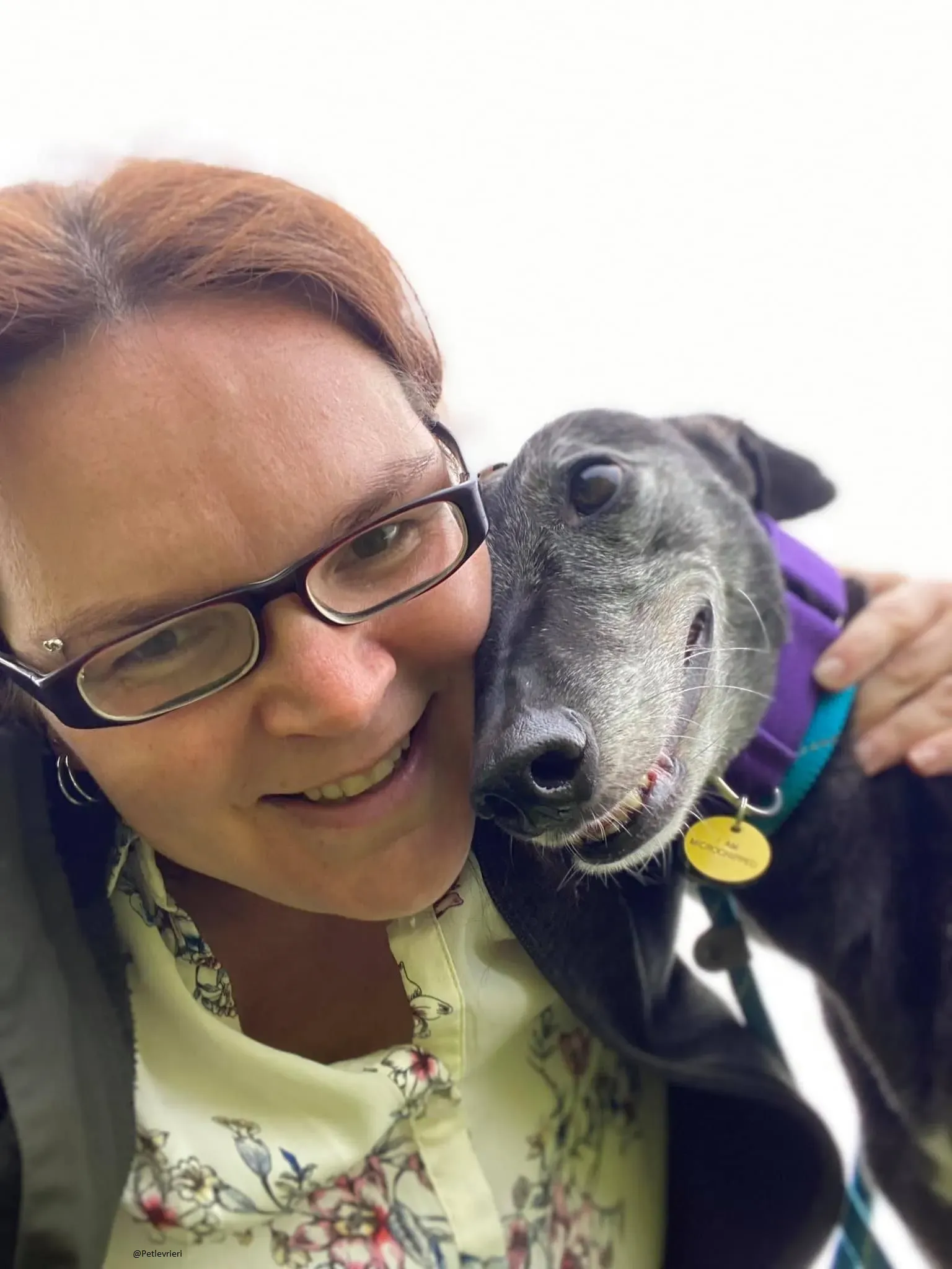 Ethel greyhound adozionelevrieri black 11