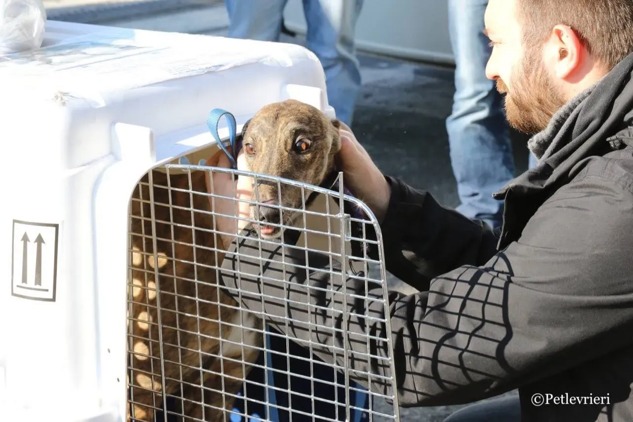 F33EBB75 7025 4C88 9080 85F0A50B9F20