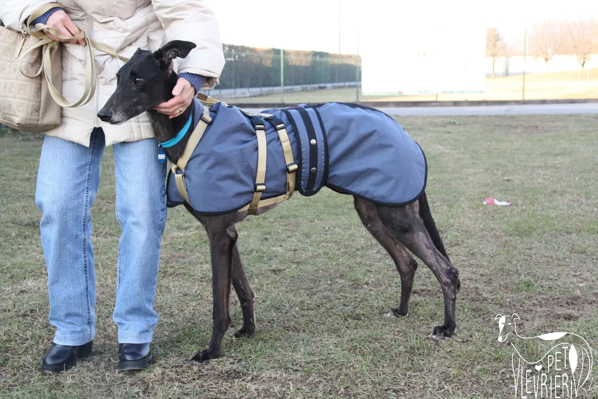 F4F69BC7 3BE5 4C90 B160 924FBC37815A