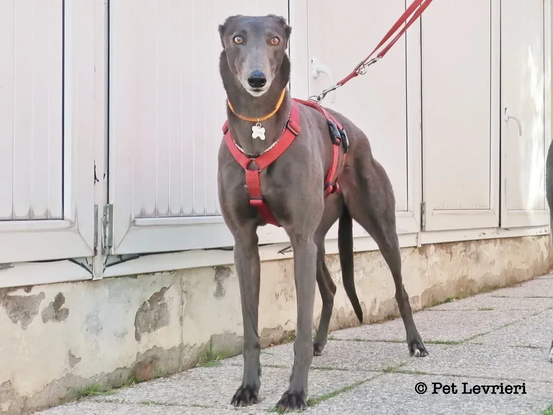 F6084B09 8116 45B0 AF9A F73F2373FC9F