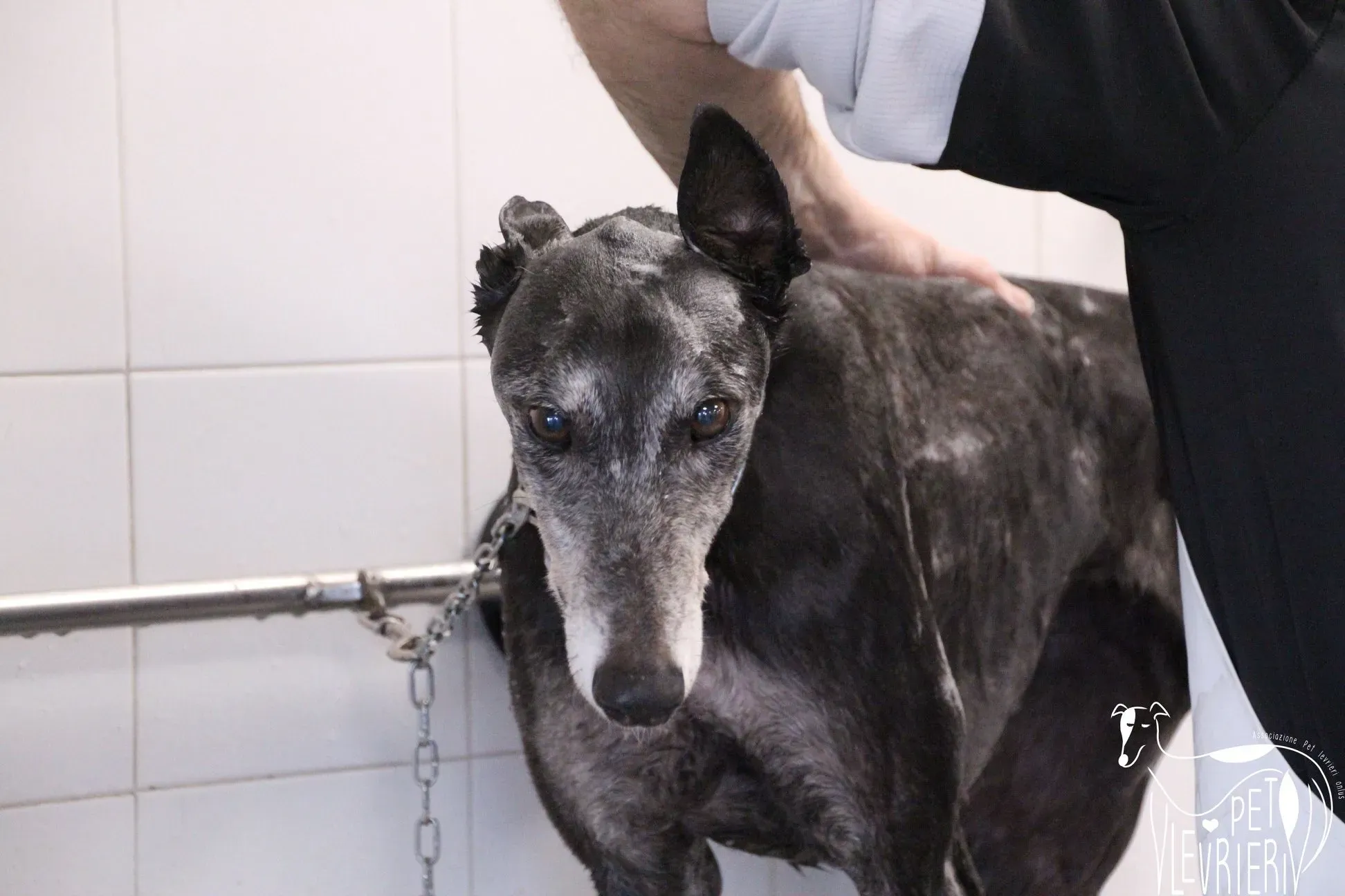 F7CF61AE B4A6 49A9 86D2 85AF7A961EB8