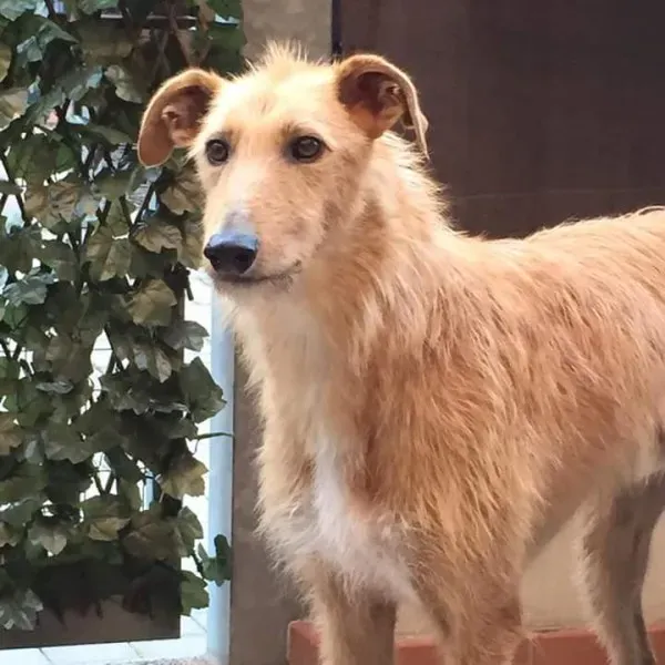 FB IMG 1433711839181