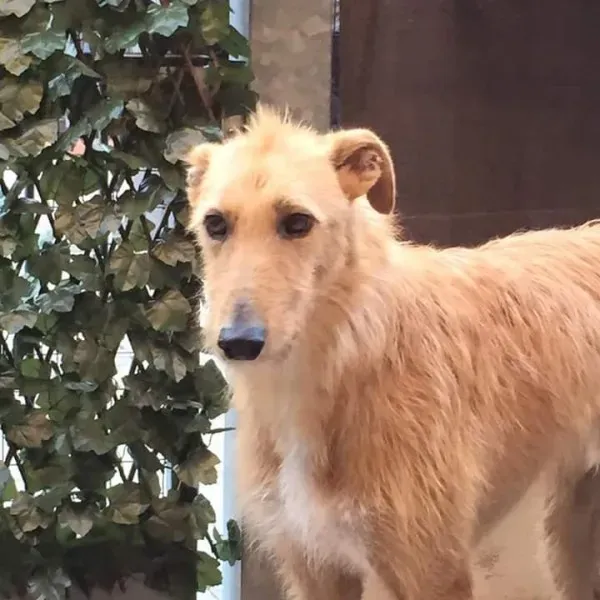 FB IMG 1433711843187