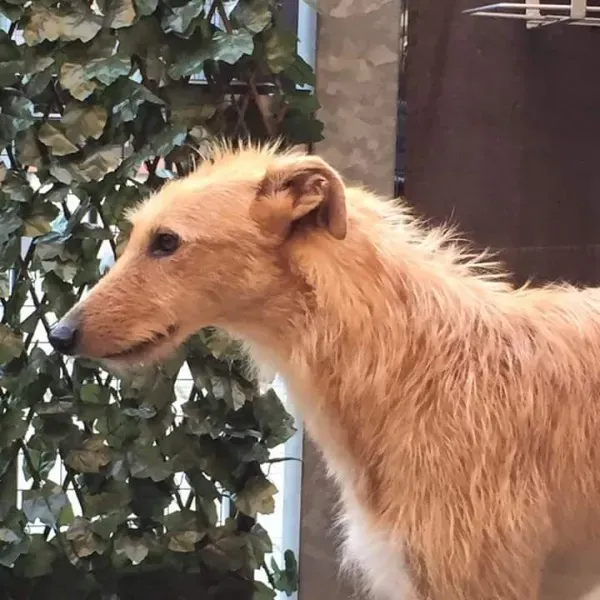 FB IMG 1433711846243