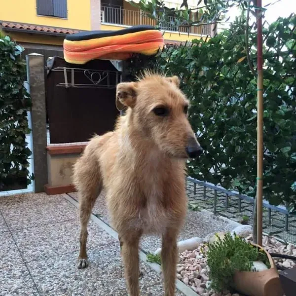 FB IMG 1433711849319