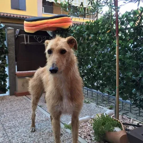 FB IMG 1433711854037