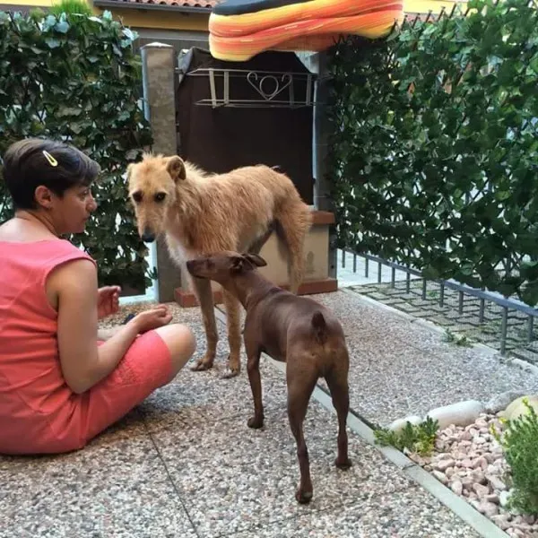 FB IMG 1433711857664